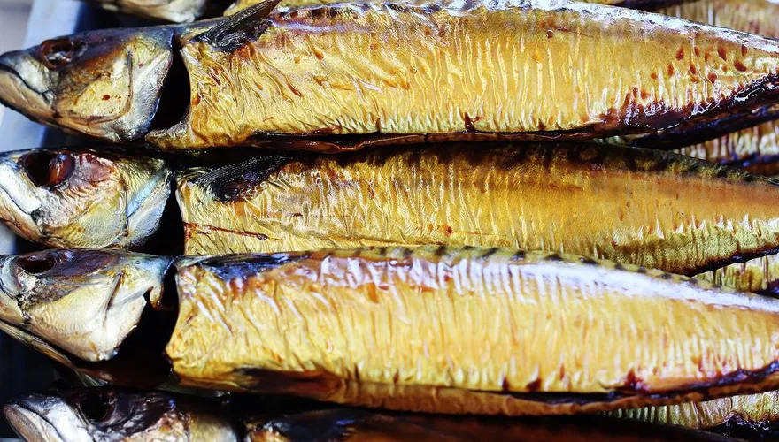 不是吃越多越好！營養師：天天吃鯖魚恐熱量爆表