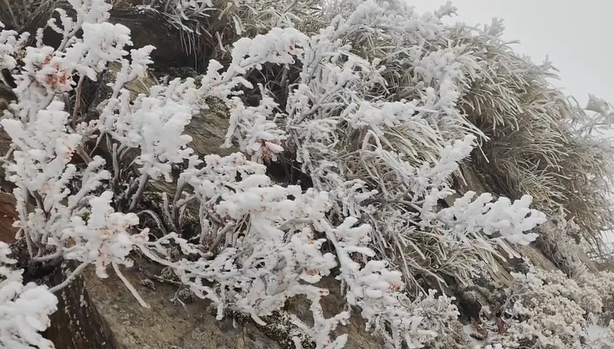 「霸王級寒流」10週年！氣象署回顧超狂低溫紀錄