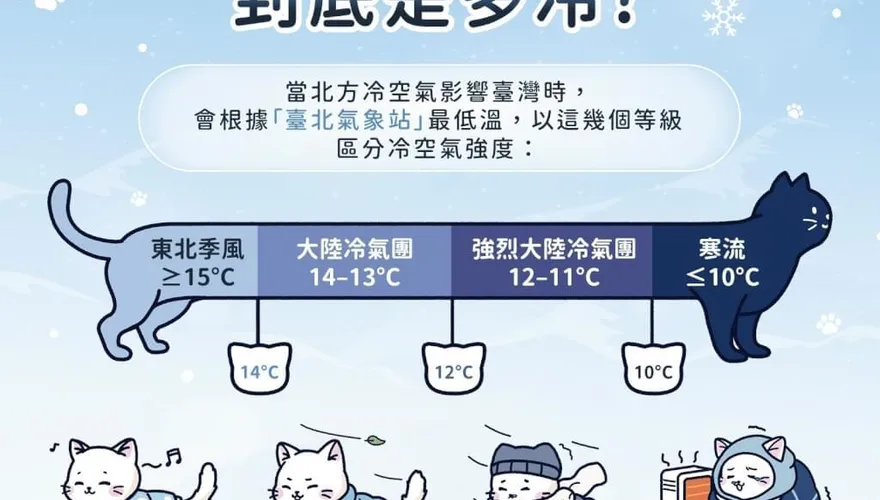 冷到發抖還不算寒流！　氣象署「貓咪圖解」一次看懂分級