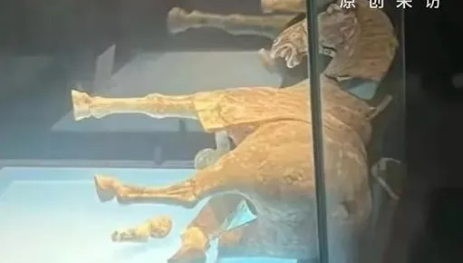 洛陽博物館「唐代陶馬」驚傳歪倒摔碎！網：站了千年累了嗎？
