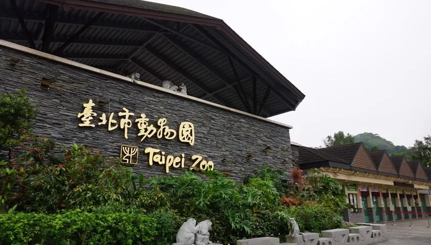 台日動物園13年友好！馬來熊「小熊妹」、「熊霸」抵日保育