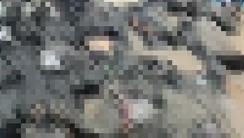 伊朗血腥鎮暴！恐6千人死亡　屍袋遍佈畫面怵目驚心