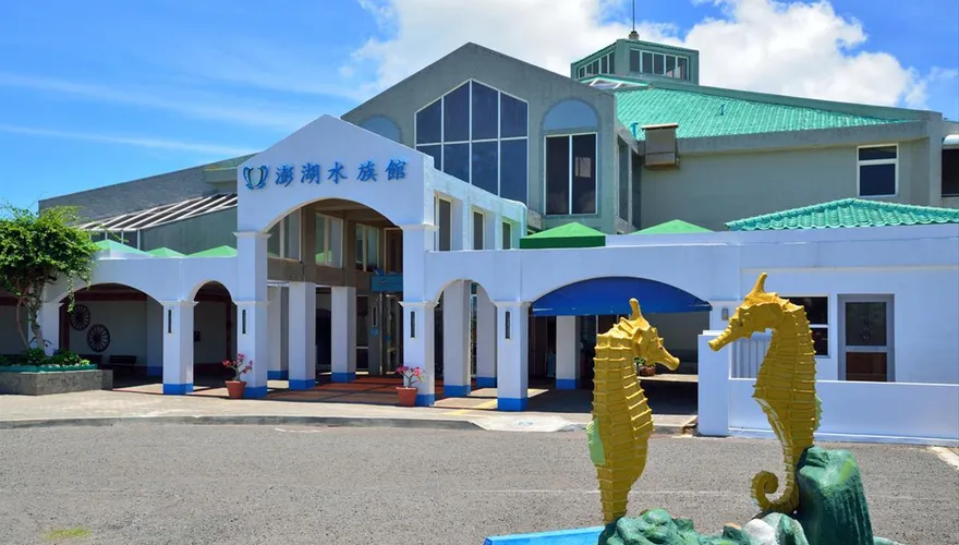 水族館、動物園成情侶「大型避孕現場」　網：徹底清醒