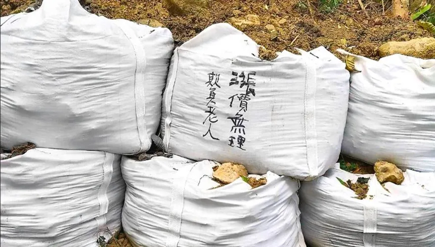 敬老票漲10元！南投溪頭園區遭「大量塗鴉」洩憤