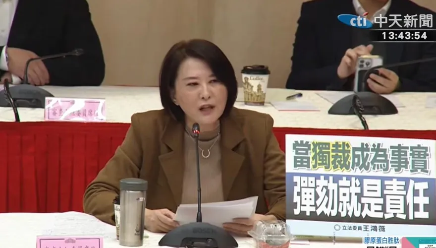 王鴻薇感嘆學者陳怡凱　硬挺賴清德「在野獨裁」說賠上專業