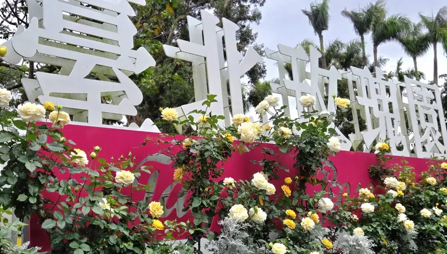 2026台北玫瑰展3/6開跑　邀單身男女共譜浪漫篇章