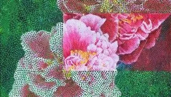 台北茶花展1/16登場　迷霧花園打造夢幻賞花體驗
