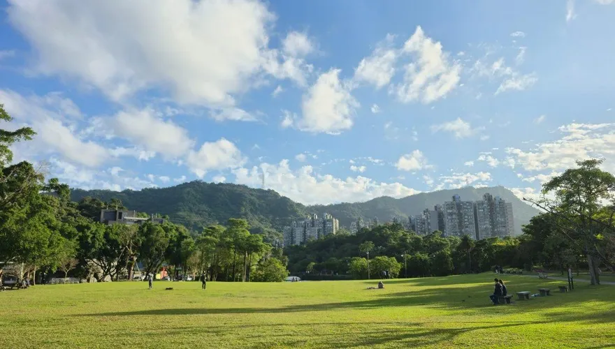 冬日限定美景！南港公園梅花綻放　湖畔林間美如畫