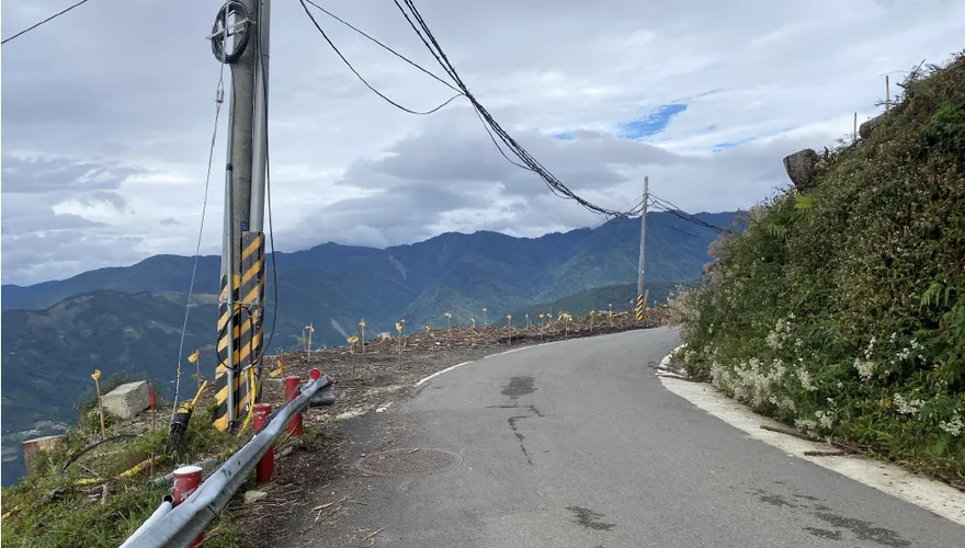 新竹「大鹿林道」火災跡地復育造林　24K路段交管至明年1月