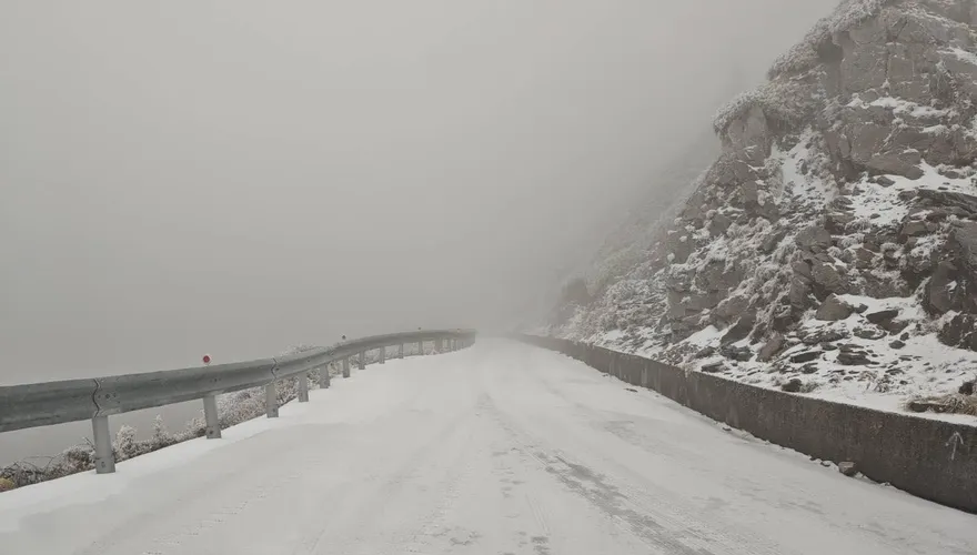 中橫化身「銀白世界」　鳶峰至大禹嶺限加掛雪鏈通行