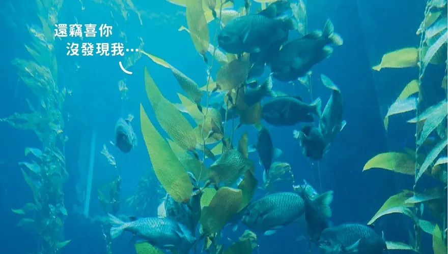 屏東海生館展區「壓克力、假生物」有深意！網驚：長知識
