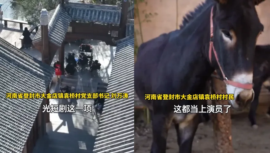 影/陸百年古村變短劇取景地　動物當臨演「驢子日片酬超2千」