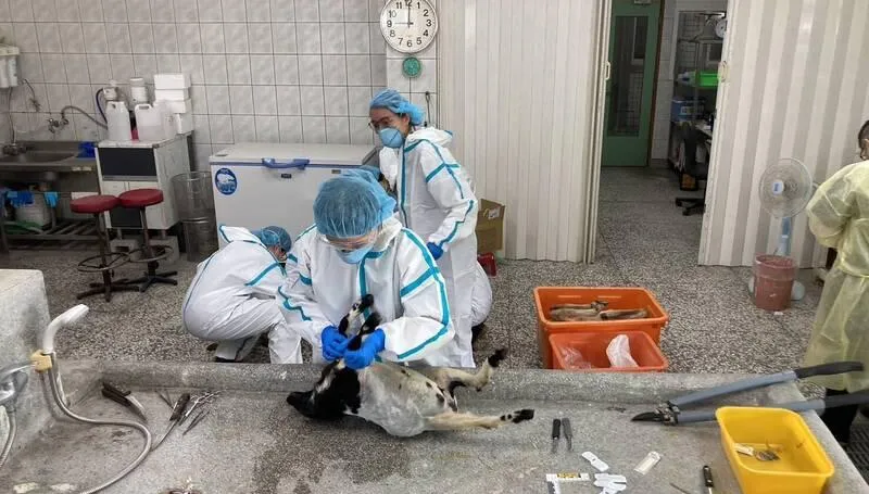 全國第一起「空拍機下毒案」竟在宜蘭！