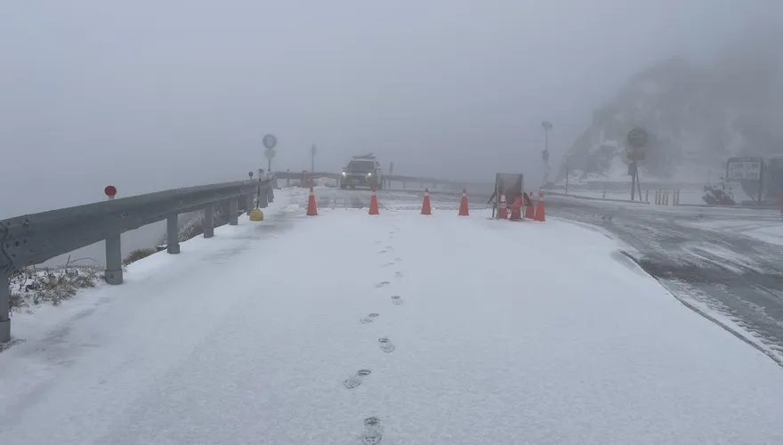 影/合歡山又下雪花！積雪1.5公分　夢幻銀白世界曝