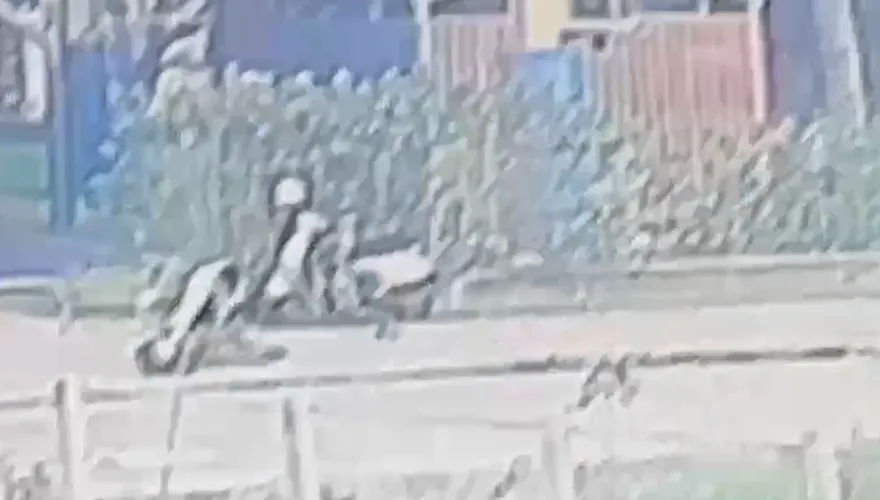 台中土風舞師遭砍8刀插管救回！　兇嫌曾找高大成「洗刷冤屈」