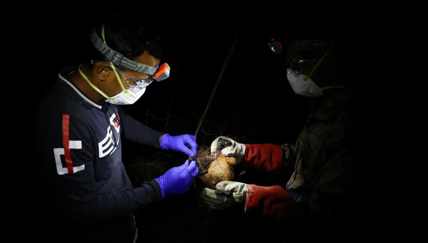 立百病毒疫情全球嚴陣以待　印度稱「已及時控制」籲民眾勿恐慌