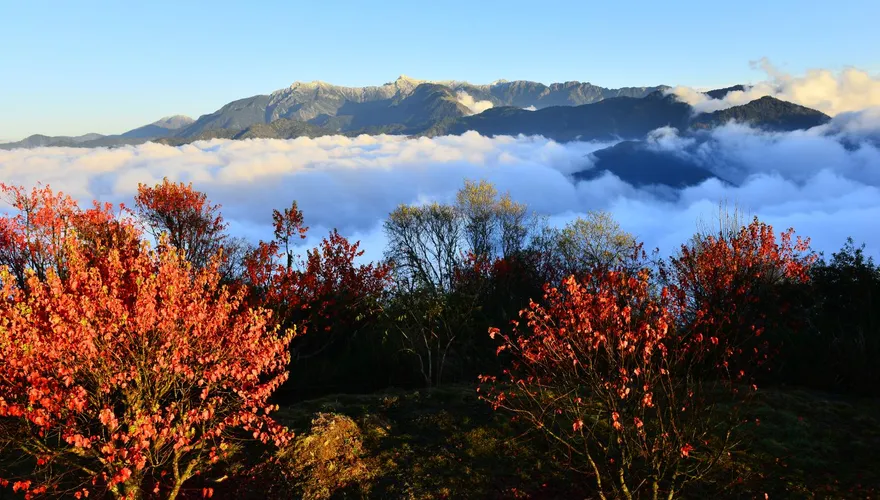 森林裡迎馬年！全台森林遊樂區逛市集　抽紅包還能免費拿春聯