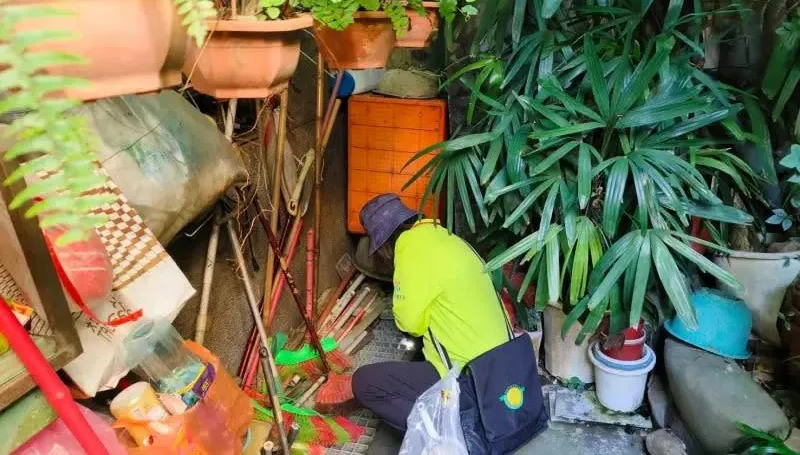高雄、台南皆爆今年首例登革熱！印尼台商返國過年　發燒痠痛住院中