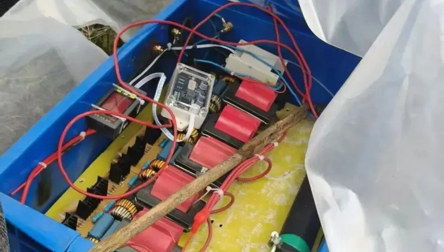 年前祭祖遇橫禍！陸男觸非法捕獵電網「膚呈紫色」慘死路邊