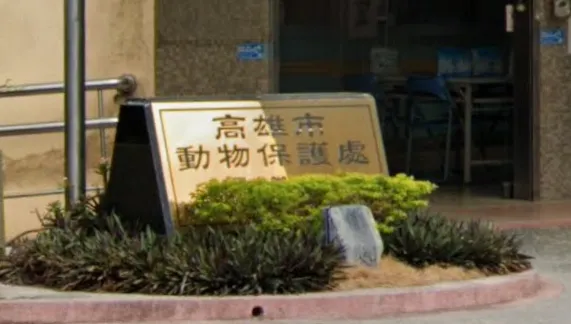 高雄前動保處長涉接受招待「護航寵物業者」　市府：勿枉勿縱