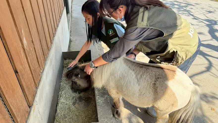 超暖！宜蘭空拍機投毒老闆被起訴　九九峰動物園接手救萌寵