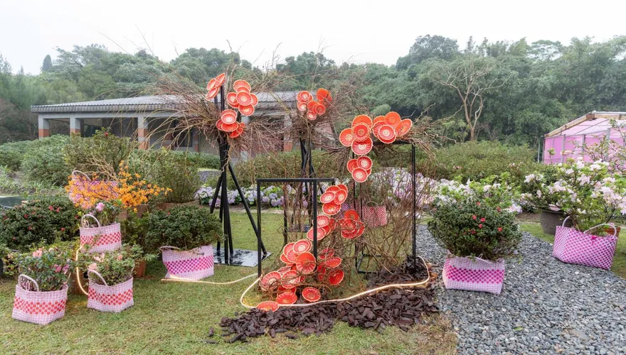 賞花抽好禮！萬金杜鵑花展登場　邀請民眾「馬上出花」