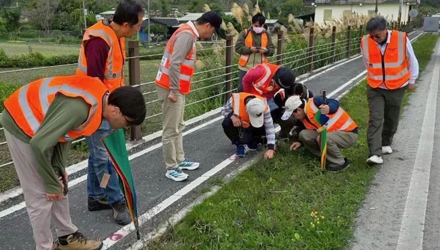 花蓮台9線紅火蟻入侵警報！公路局啟動「地毯式巡查」阻擴散