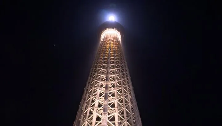 遊日注意！東京晴空塔電梯出意外　今臨時關閉全面檢修