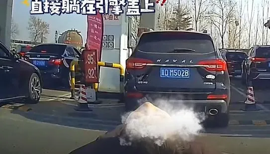 陸加油站驚見「人肉插隊」！女子「躺後車引擎蓋」強行卡位網傻眼