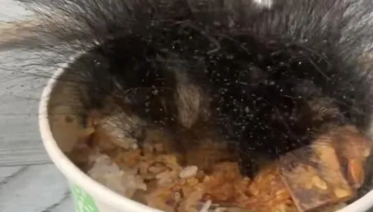 牛肉飯長出「頭髮」？陸男過年忘扔冒「黴菌」　濃密黑毛超驚悚