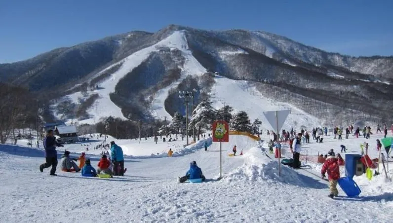 日本新潟滑雪場雪崩「埋2台灣遊客」　共5人救出送醫