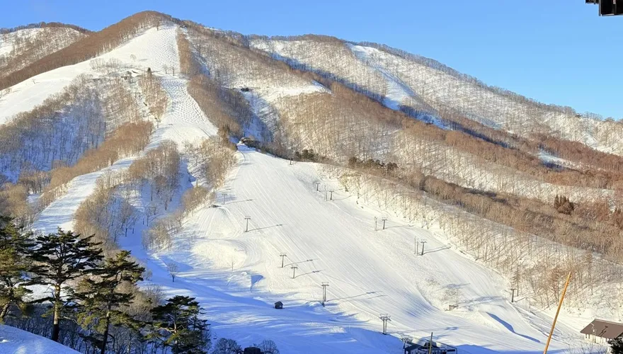 日斑尾高原滑雪場雪崩「活埋台夫妻」　傳右腳骨折、背部受傷