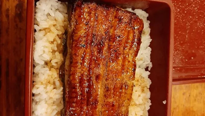 肥前屋宣布3/11試營運　大份鰻魚飯「狂漲100元」