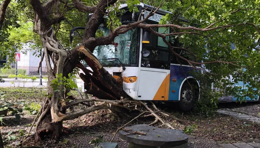 影/再多2傷！內湖三總「公車整輛撞進樹林」12人送醫