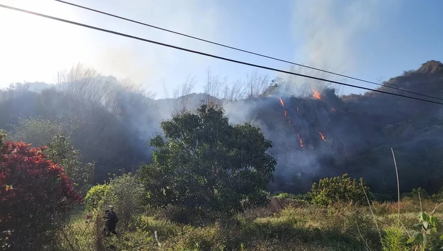 六龜羅漢段火燒山「無人機追火點」　6小時撲滅受災3公頃
