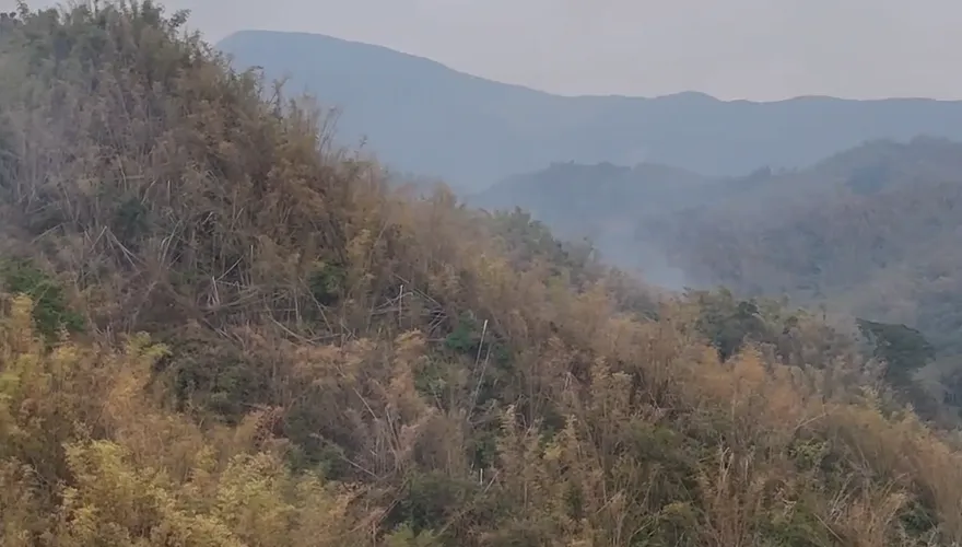 影/高雄美濃近黃蝶翠谷竹林火警　消防陸空搶救撲滅