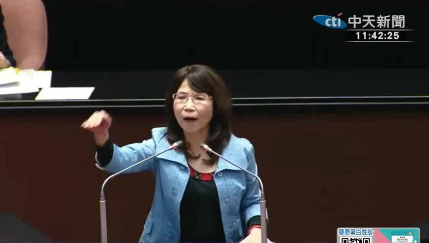 力挺李貞秀！陳昭姿嗆賴清德宣布一邊一國　綠委場邊高喊回應