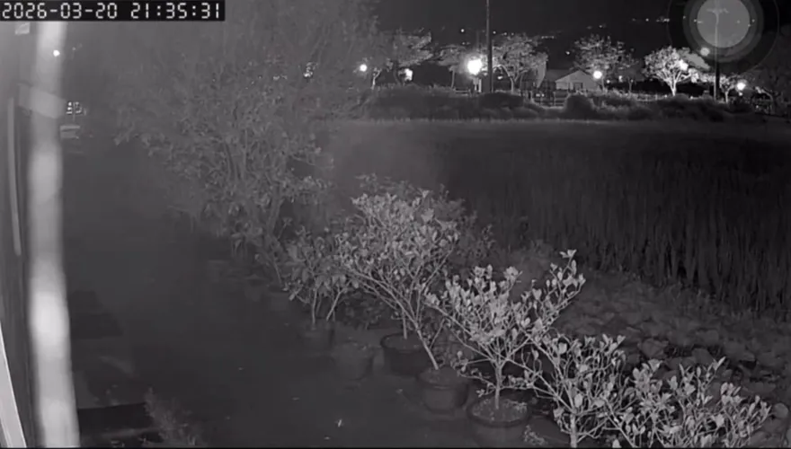影/連2震畫面流出！花蓮地鳴聲如獅吼、鐵皮震動嚇壞汪星人