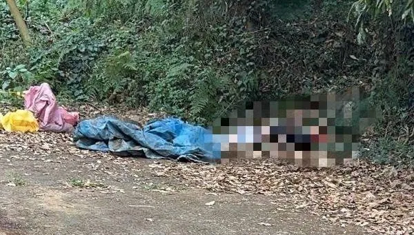 玄！彰化無臉無眼屍命案「供毒糾紛遭虐死」　警曝破案巧合