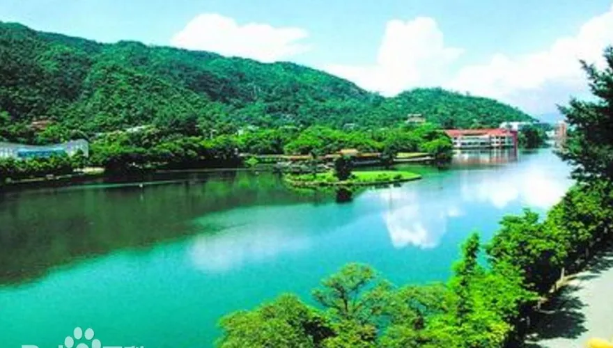 廣東多地3月官宣入夏！佛山創11年最早紀錄　網：不是才春天嗎