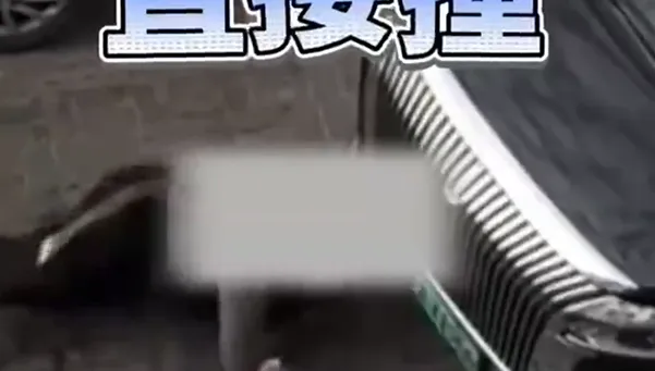 影/爭路起衝突！陸男施展「鐵頭功」　多次飛身頭槌車頭嚇壞路人