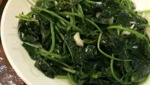 水煮地瓜葉多酚流失逾2成！清蒸、油炒才是營養關鍵