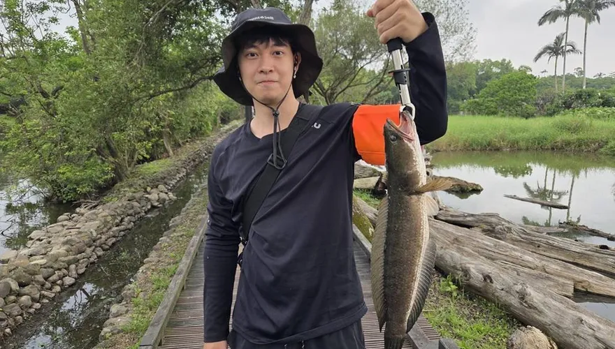 宜蘭80釣魚高手1天剷除130尾外來魚　「泰國鱧殺手」也現身