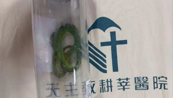 老翁遭青竹絲咬傷「急做這事」　竟是超NG行為！醫：恐更嚴重