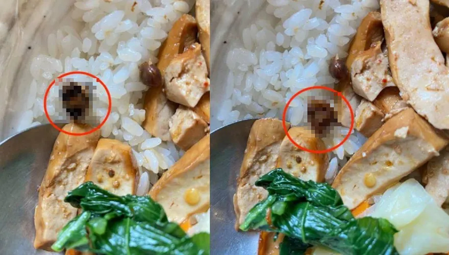 劉德華愛店「驚見蟑螂頭」網譏：加菜不加價！　衛生局今稽查撲空