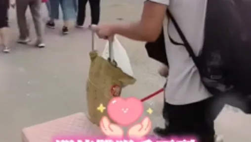 看不見也要走！視障父徒步跟隨白沙屯媽祖　兒子全程陪伴