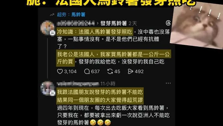 法國人都吃發芽馬鈴薯...百萬網紅怒：下次連屎都能吃？曝「自己遭出征」