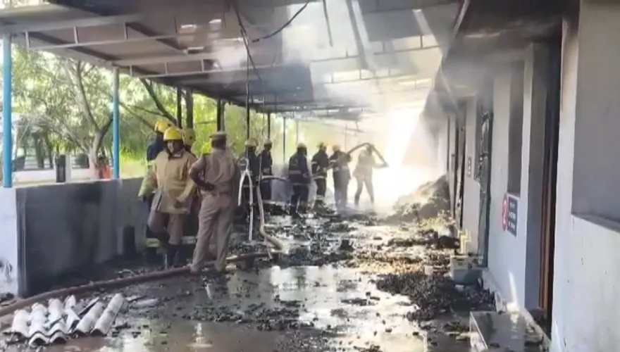 廠房夷平地！印度煙火工廠大爆炸　至少25死遺體焦黑難辨