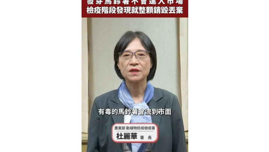 毒馬鈴薯恐流竄市場？農業部：不要再以謠傳傷害防檢疫體系