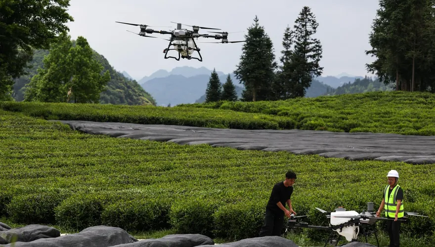 操作無人機灑農藥未清場…陸「飛手」砸死路人判關一年半